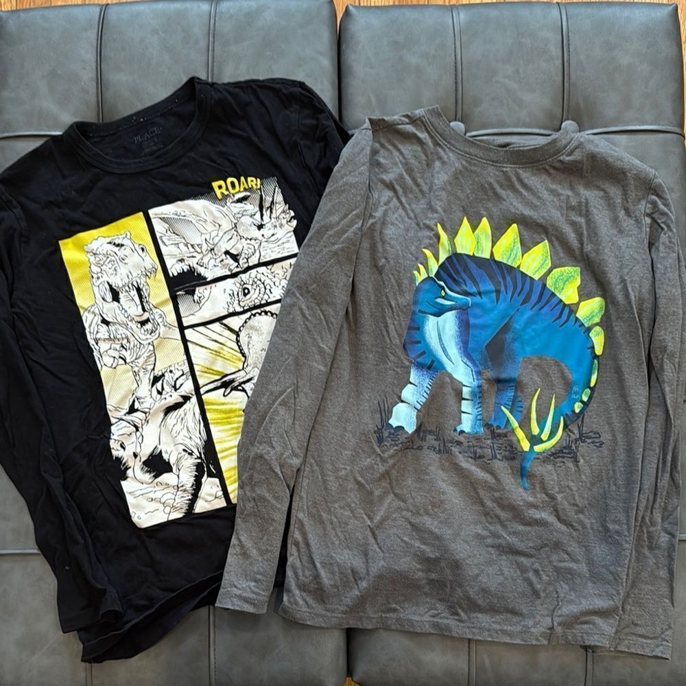 Dinosaur Graphic Kids Long Sleeve Shirts - Black & Gray